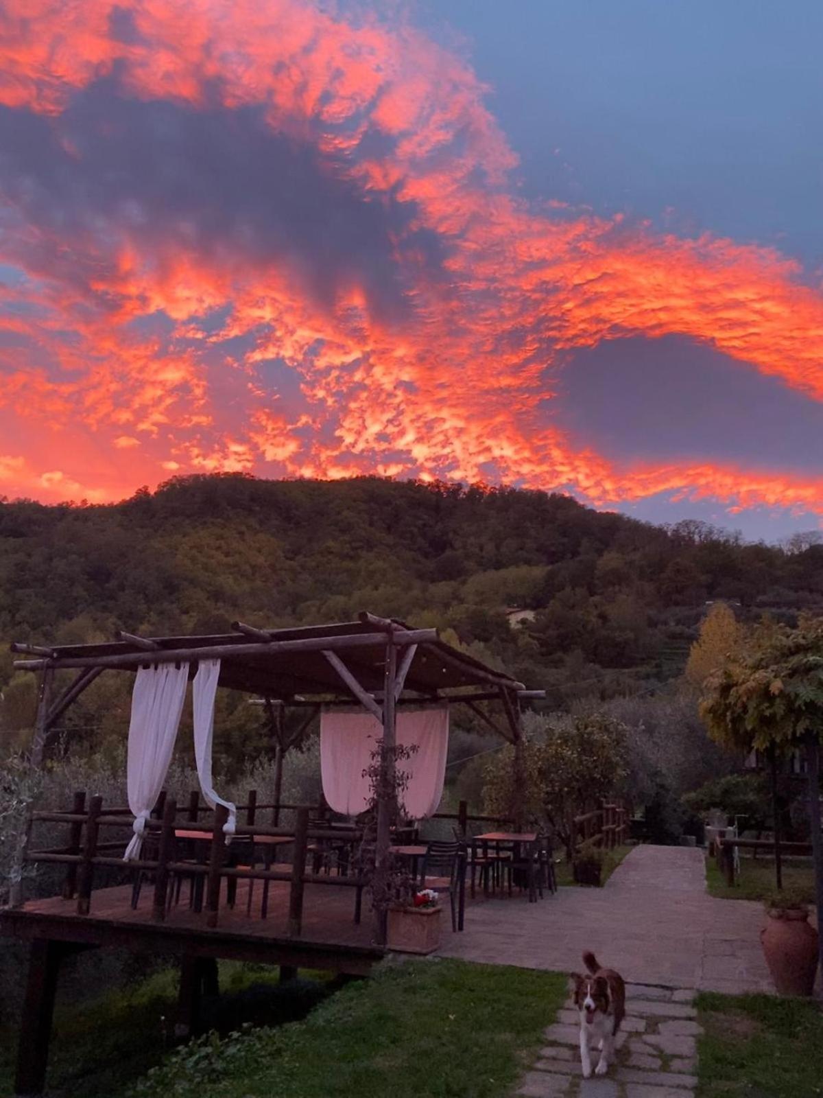 Agriturismo Ca Di Rossi Villa Mulazzo Luaran gambar