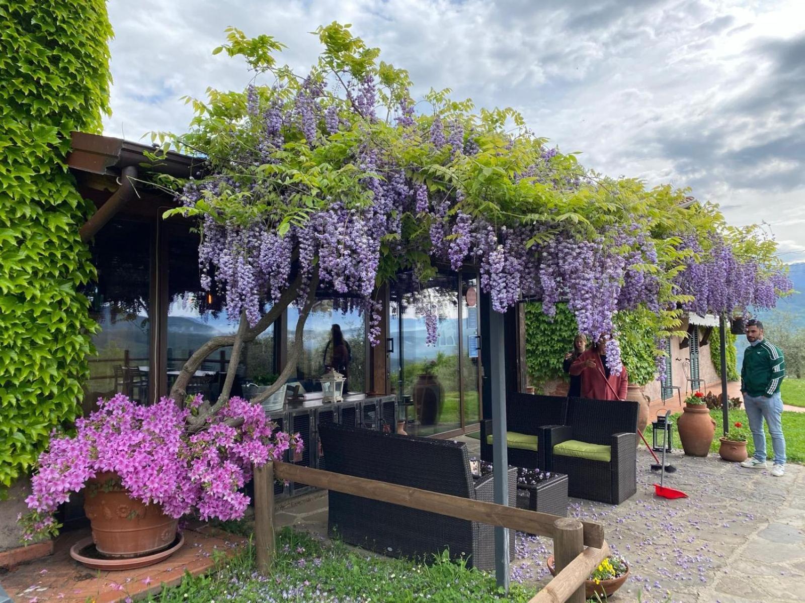 Agriturismo Ca Di Rossi Villa Mulazzo Luaran gambar